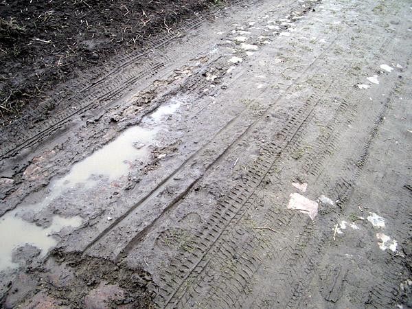This is what the cobbleds looked like before they were lovingly cleaned