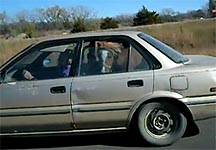 horse-in-car.jpg