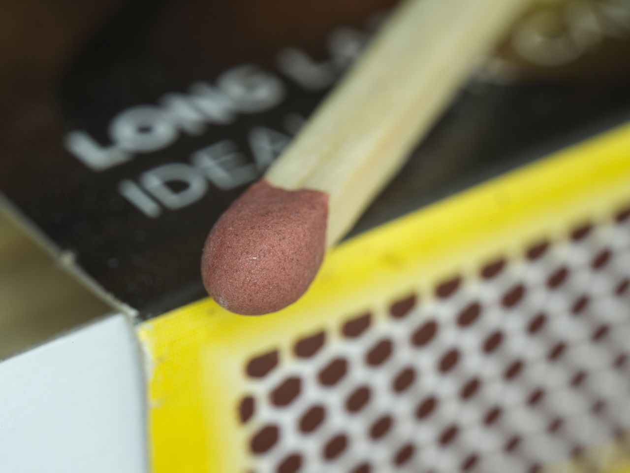 Sample macro photograph taken with the Mitakon 55mm f/2.8 1-5x Macro lens on the Hasselblad X2D II 100C