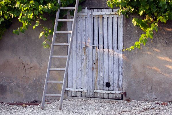 The Origin Stories Behind Popular Superstitions