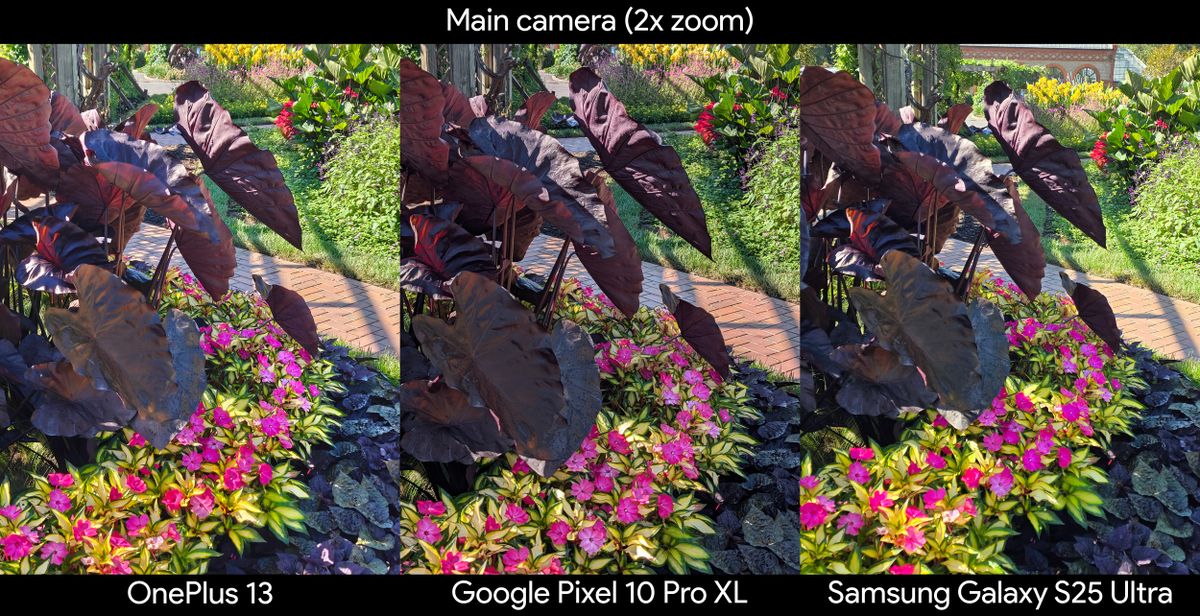 Comparing photos of colorful plants between the Google Pixel 10 Pro XL, Samsung Galaxy S25 Ultra, and OnePlus 13 at 2x zoom