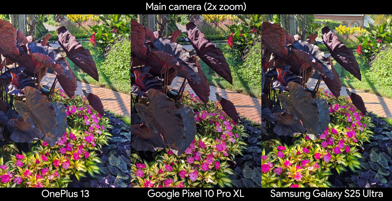 Comparing photos of colorful plants between the Google Pixel 10 Pro XL, Samsung Galaxy S25 Ultra, and OnePlus 13 at 2x zoom