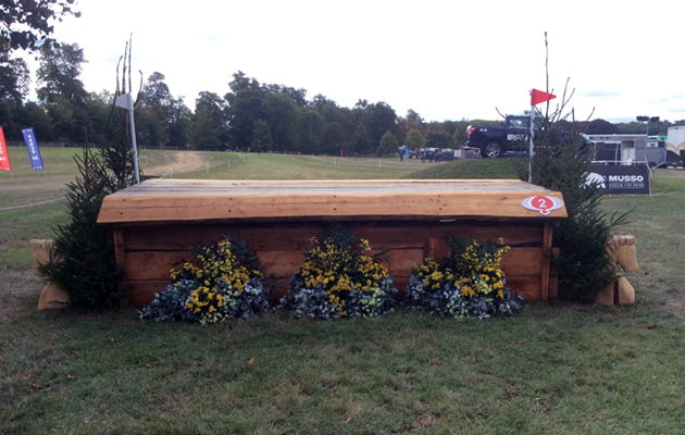 Blenheim Fences 2018