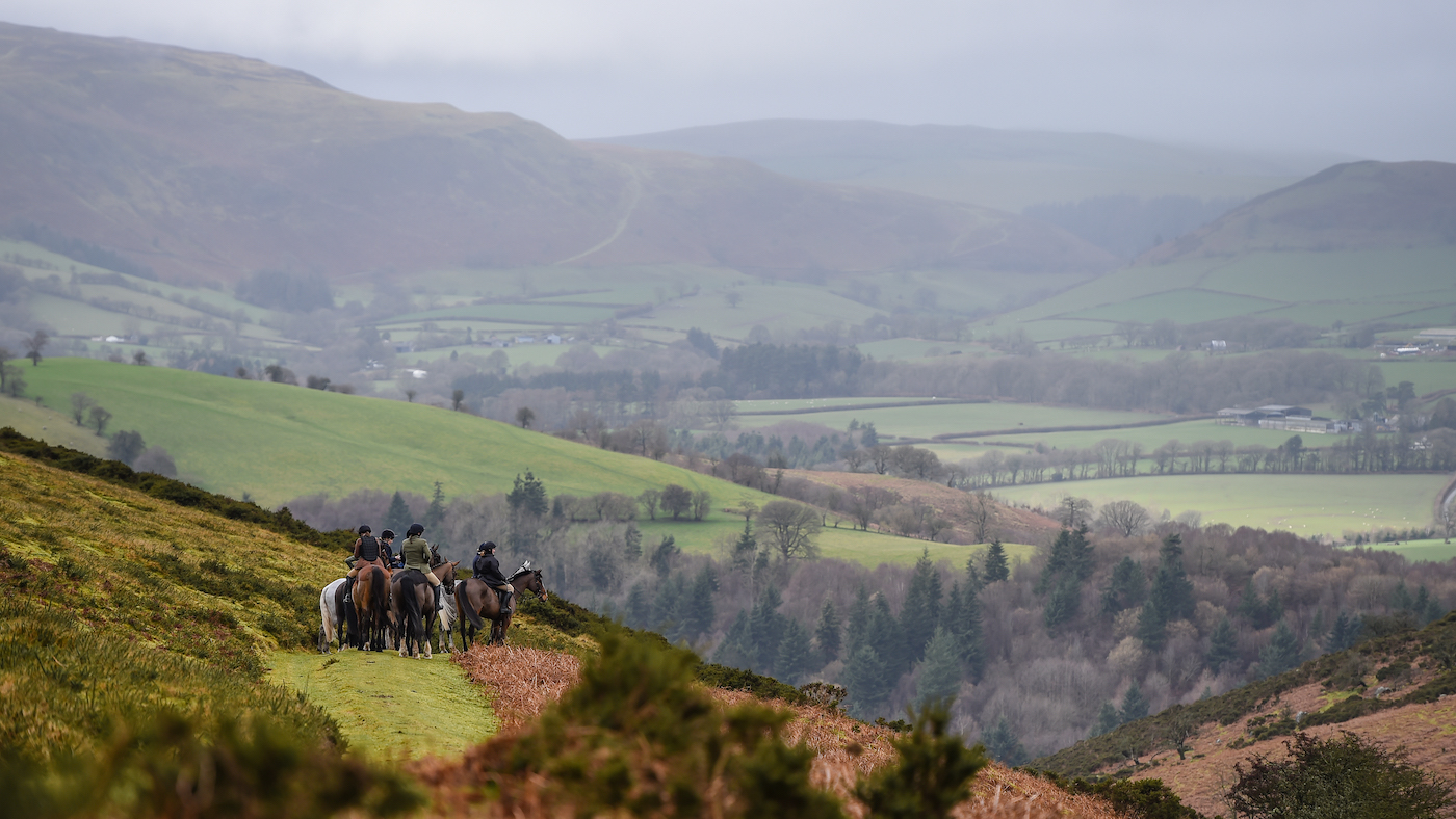 RadnorWestHereford_Hunting_PN24_13919.jpg