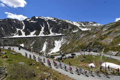 Peloton riding at the Tour de Suisse 2019