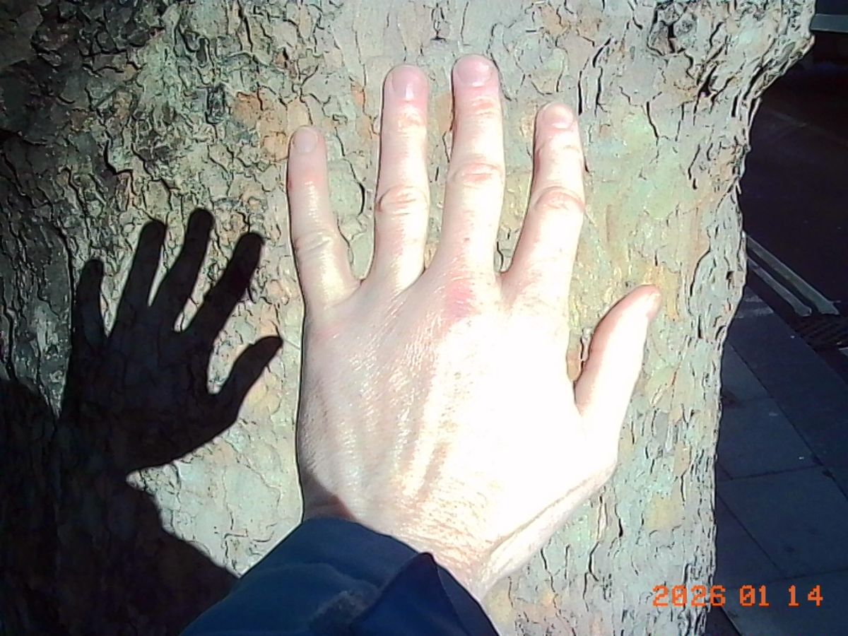 Kodak Charmera sample gallery: a hand and its shadow on a tree