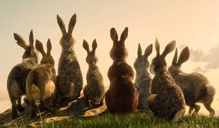 Watership Down the warren of rabbits looking out into the distance, backs turned