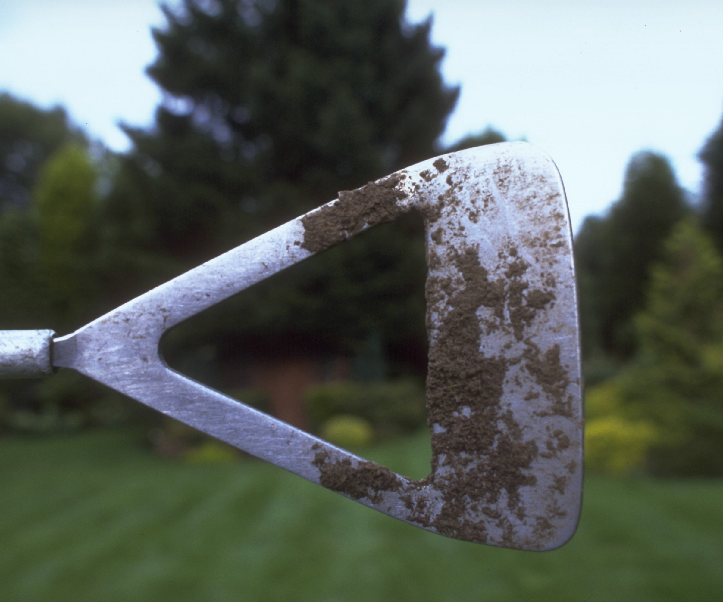 The head of a metal garden hoe against the background of a garden