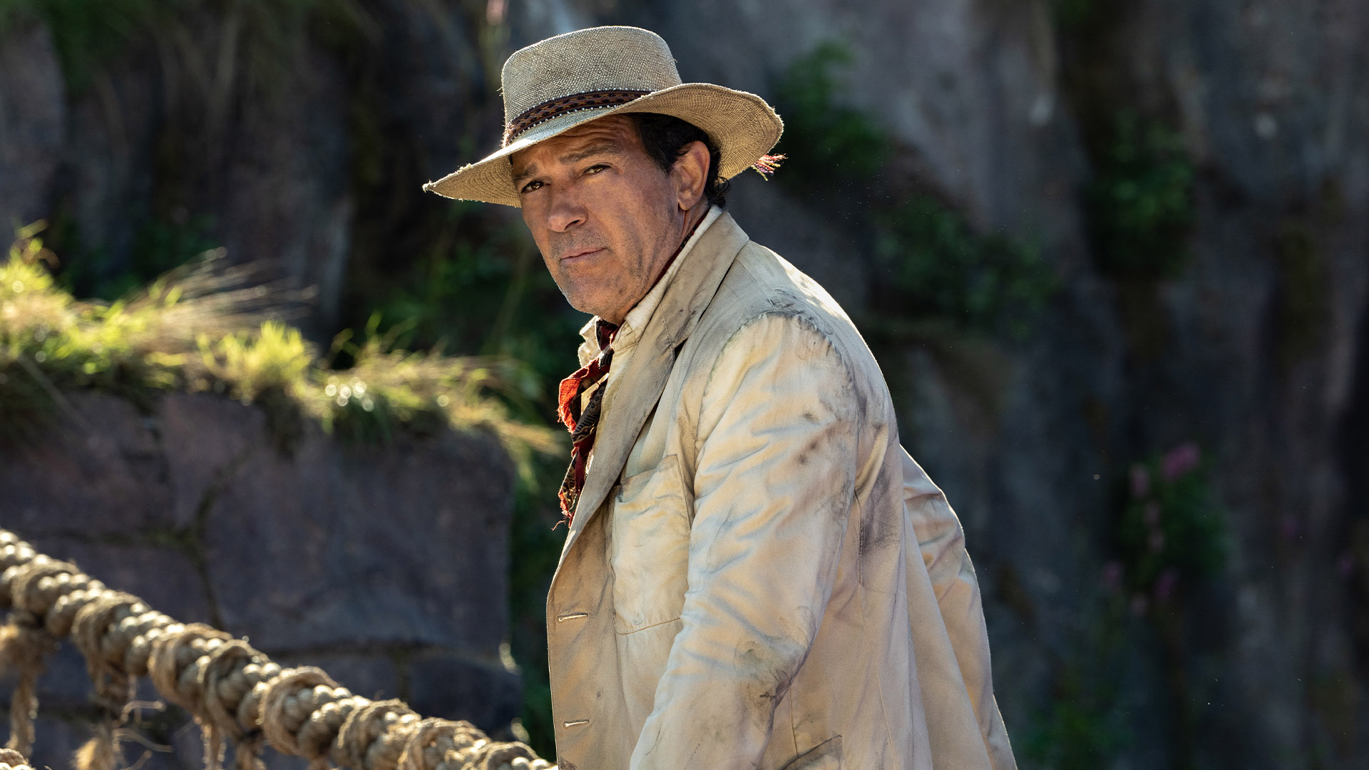 Paddington in Peru review: "Endlessly easy to love with a pitch-perfect Olivia Colman"