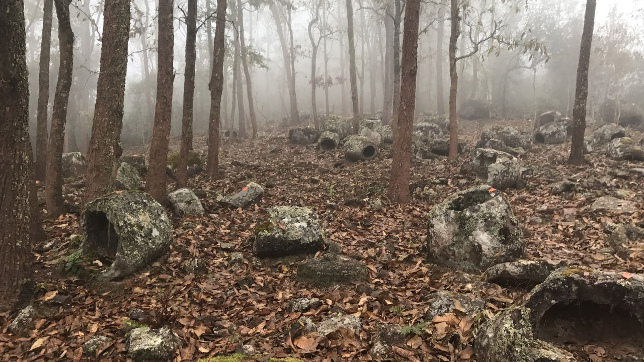 The region is known as the Plain of Jars after the relatively flat valley floor, but many of the ancient stone jar sites are on hillsides and within forests.