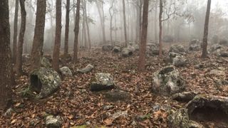 The region is known as the Plain of Jars after the relatively flat valley floor, but many of the ancient stone jar sites are on hillsides and within forests.