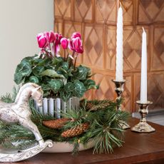 Pink cyclamen sitting on a table surrounded by christmas decorations, including candles and a rocking horse