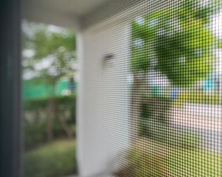 Insect mesh on house window protection against spiders