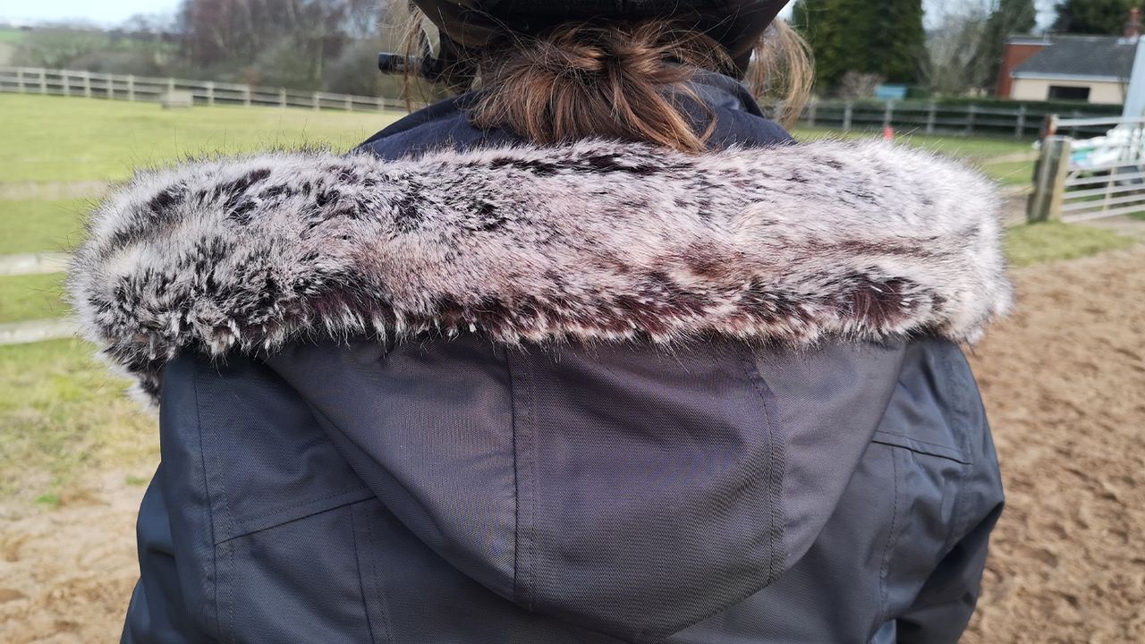LeMieux Loire Waterproof Coat hood from behind
