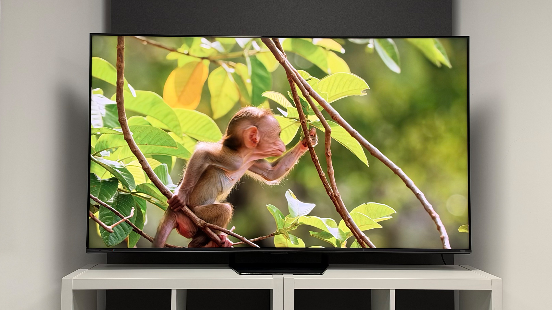 Hisense UR8 RGB Mini LED TV