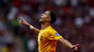 Cody Gakpo of the Netherlands celebrates scoring his team's first goal against Qatar at the FIFA World Cup 2022 in Qatar on 29 November, 2022.