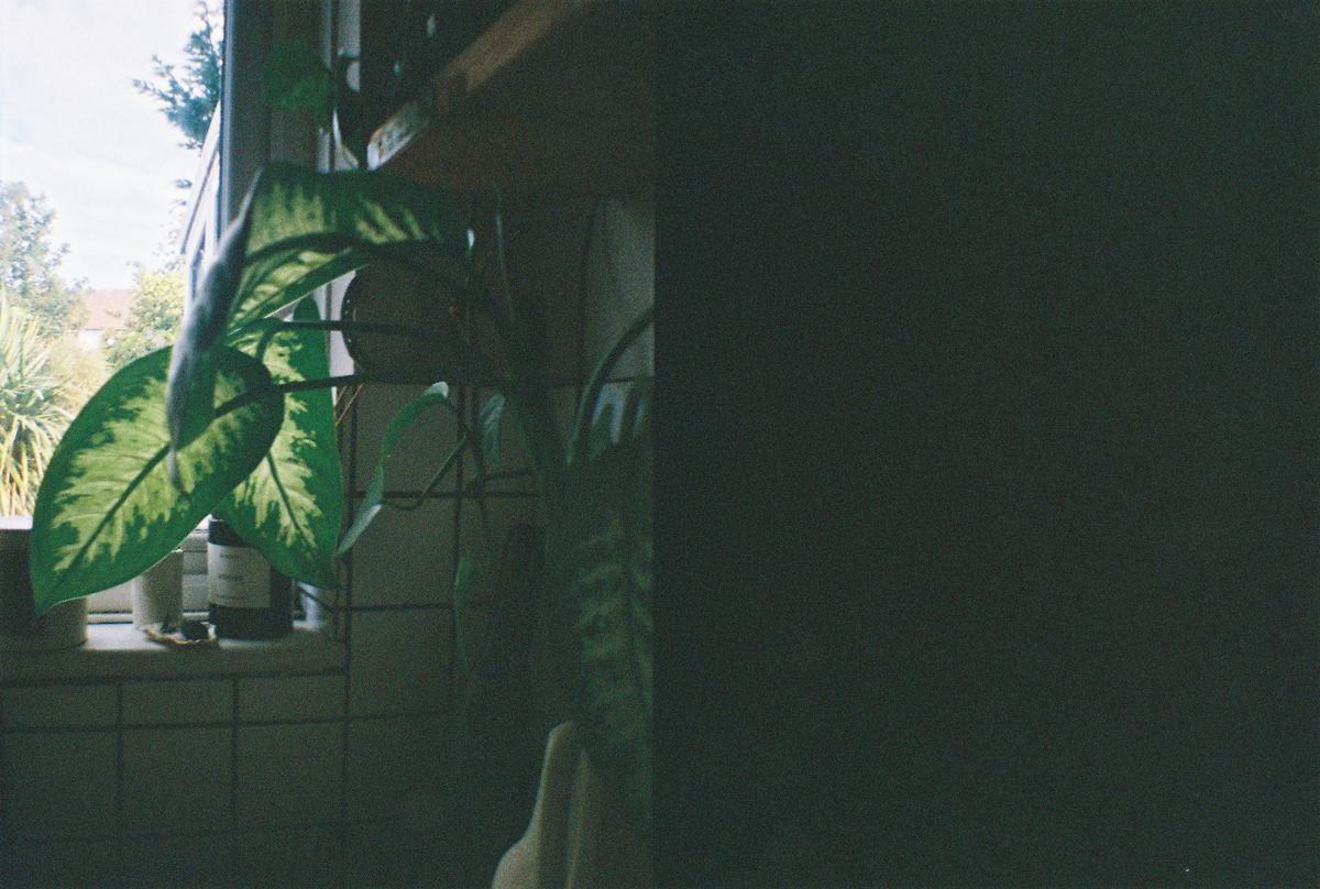 Sample image shot with the Lomography Lomourette
