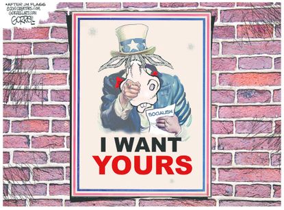 Political Cartoon U.S. Democrats socialism campaign