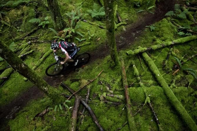 BC Bike Race singletrack