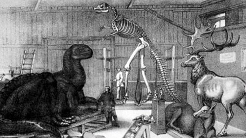 A drawing of Benjamin Waterhouse Hawkins' studio near Central Park with various animal models and specimens.