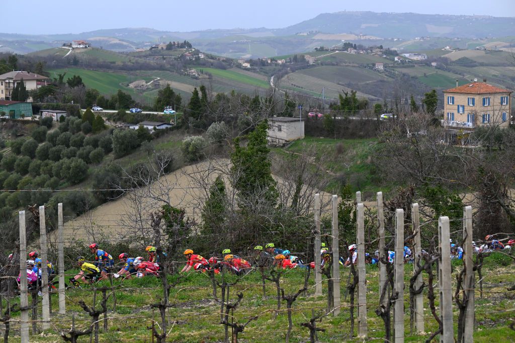 The field races by vineyards on the final stage of Tirreno-Adriatico