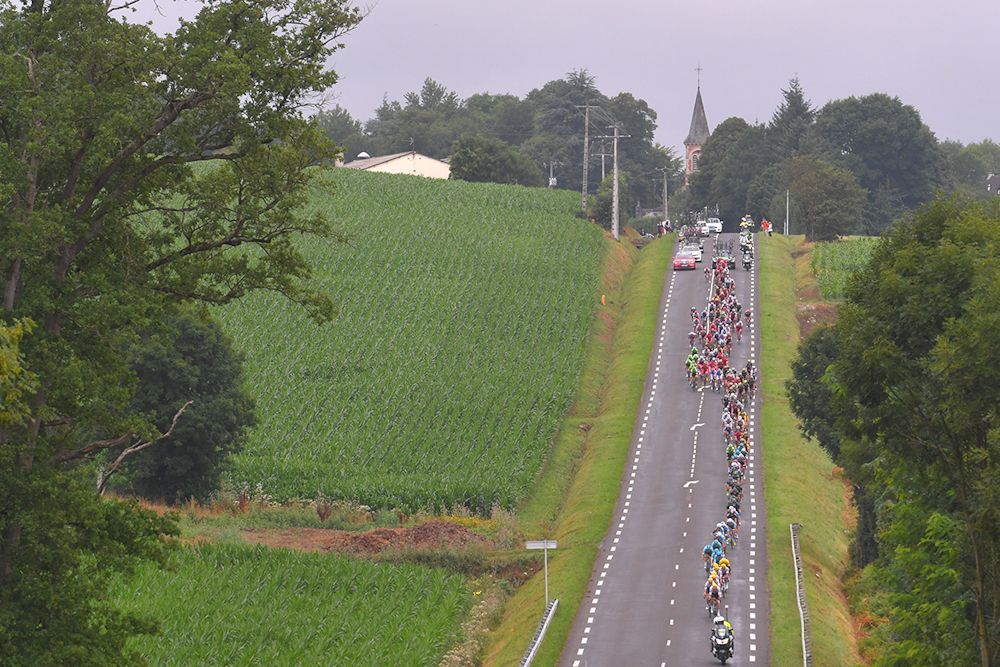 A long view of the peloton during stage 12 at the Tour de France