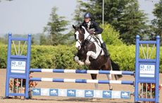 SJMO1273-Sarah-Nicholls.jpg