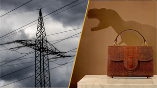 Split image of an electricity mast and a dinosaur shadow behind a handbag.