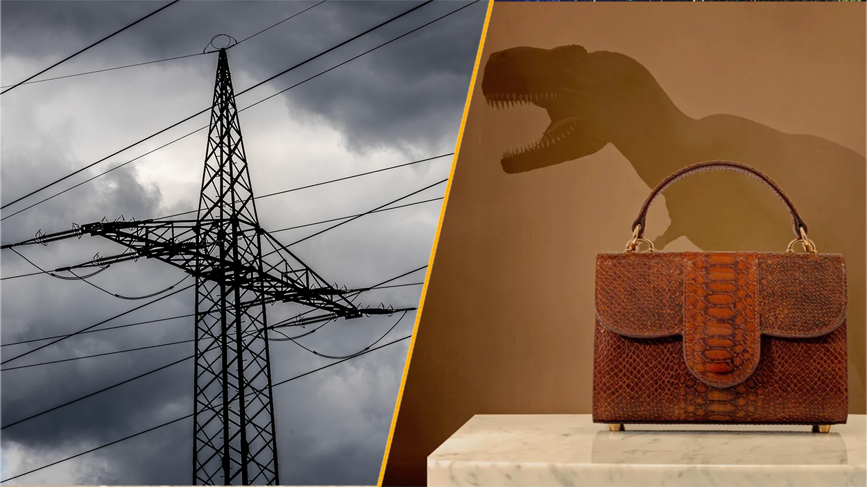 Science news this week: International blackouts and 'T. rex skin' handbags