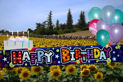 The Tour de France peloton passes sunflowers, with birthday cake overlaid