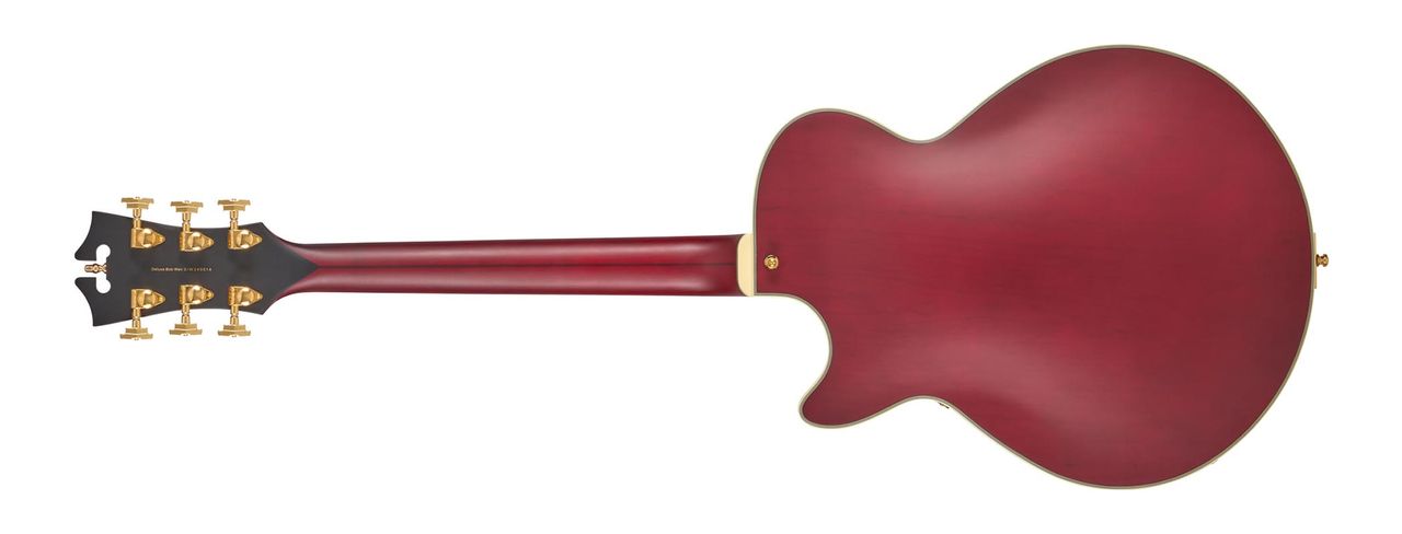 D'Angelico Deluxe Bobby Weir 3