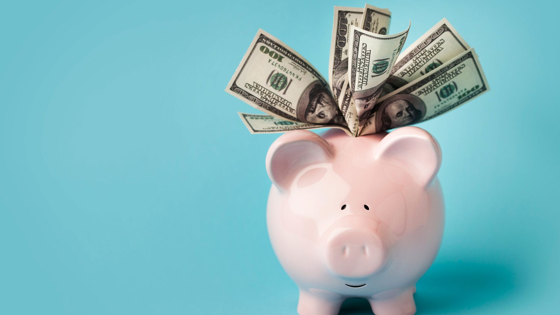 Employee Contributions