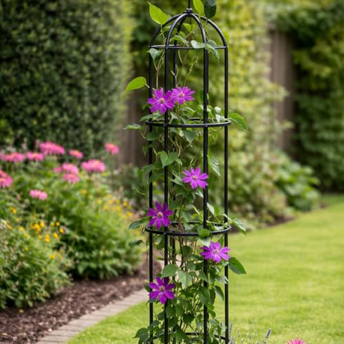Carbeth Plants Garden Obelisk 1.9m - Metal Plant Support for Climbing Plants, Roses and Vines - Decorative &amp;amp; Easy to Assemble Garden Trellis