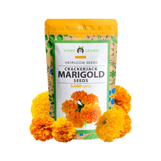 A pack of marigold seeds