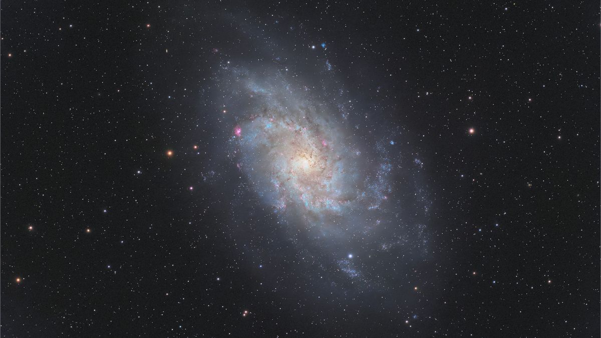 The Triangulum galaxy (M33), as imaged by the Vaonis Atlas.