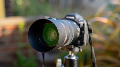 Canon RF 100mm f2.8L IS USM macro lens