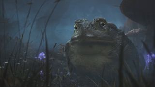 Toad from the Fable Reboot teaser trailer in 2020.
