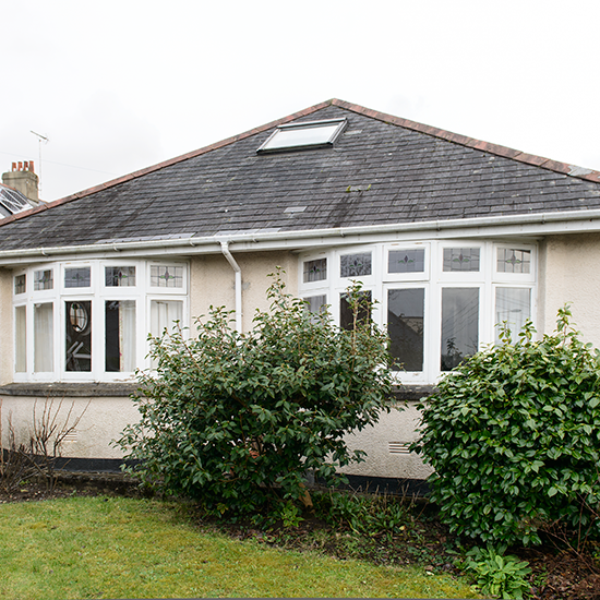 bunglow with garden and plant
