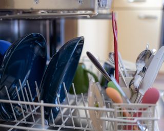 A loaded dishwasher with plates and cutlery