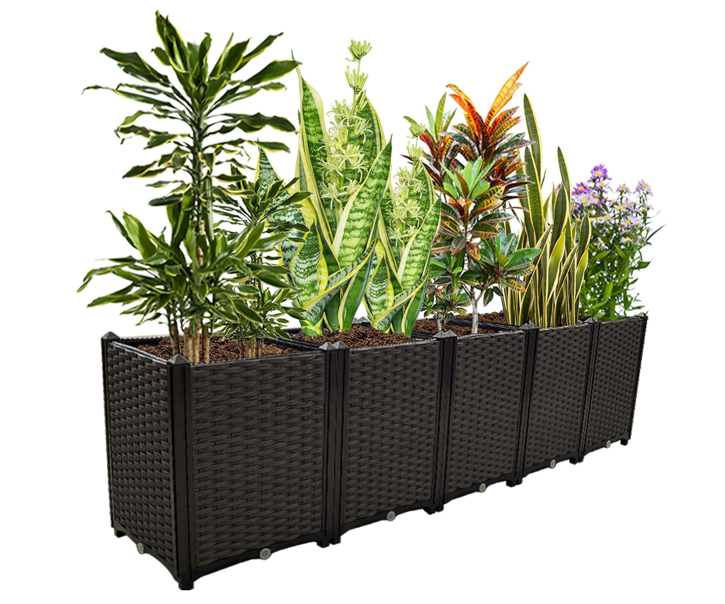 Souwuokoo raised bed kits filled with plants