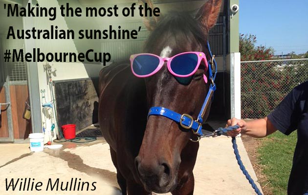 Willie-Mullins_tweet.png