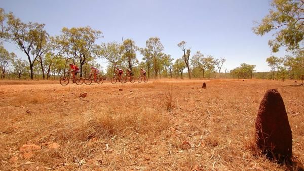 The lead bunch in anthill country.