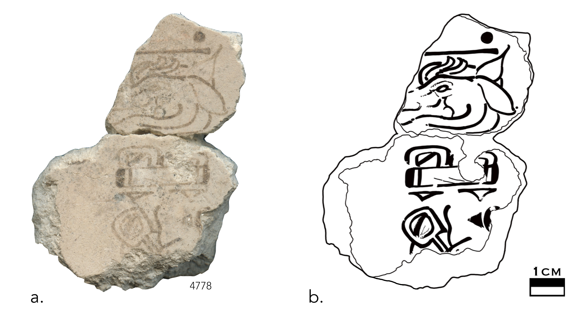 Detail of fragment #4778 collected from the Sub-V phase (~300-200 BC), showing the 7 stag day mark.