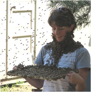 NSF researcher Marla Spivak demonstrates how to wear a "bee beard"