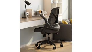 Hbada office task desk chair