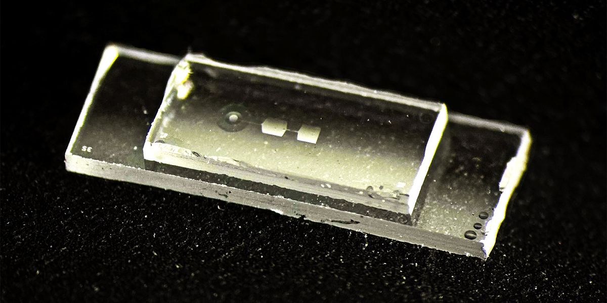 'This computer works almost like a guitar': Fingernail-sized quantum chip uses vibrations to store data