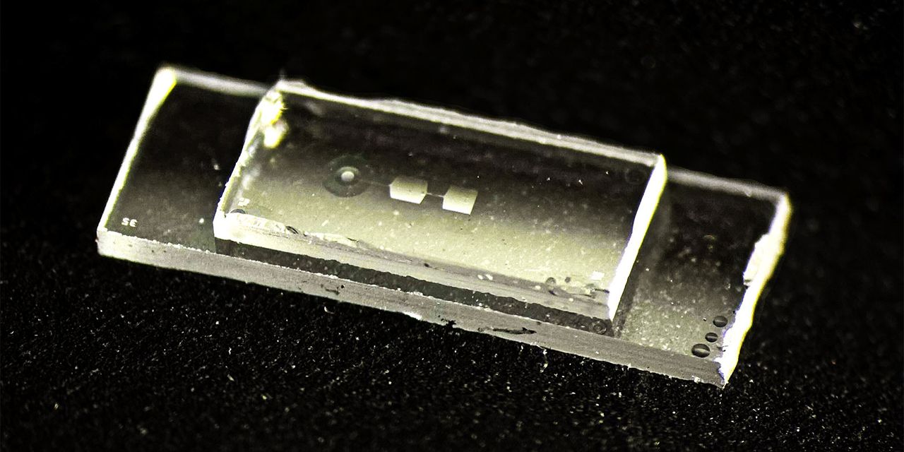 'This computer works almost like a guitar': Fingernail-sized quantum chip uses vibrations to store data