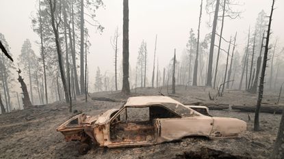 How to Help Wildfire Victims In California, Oregon, Washington, and ...