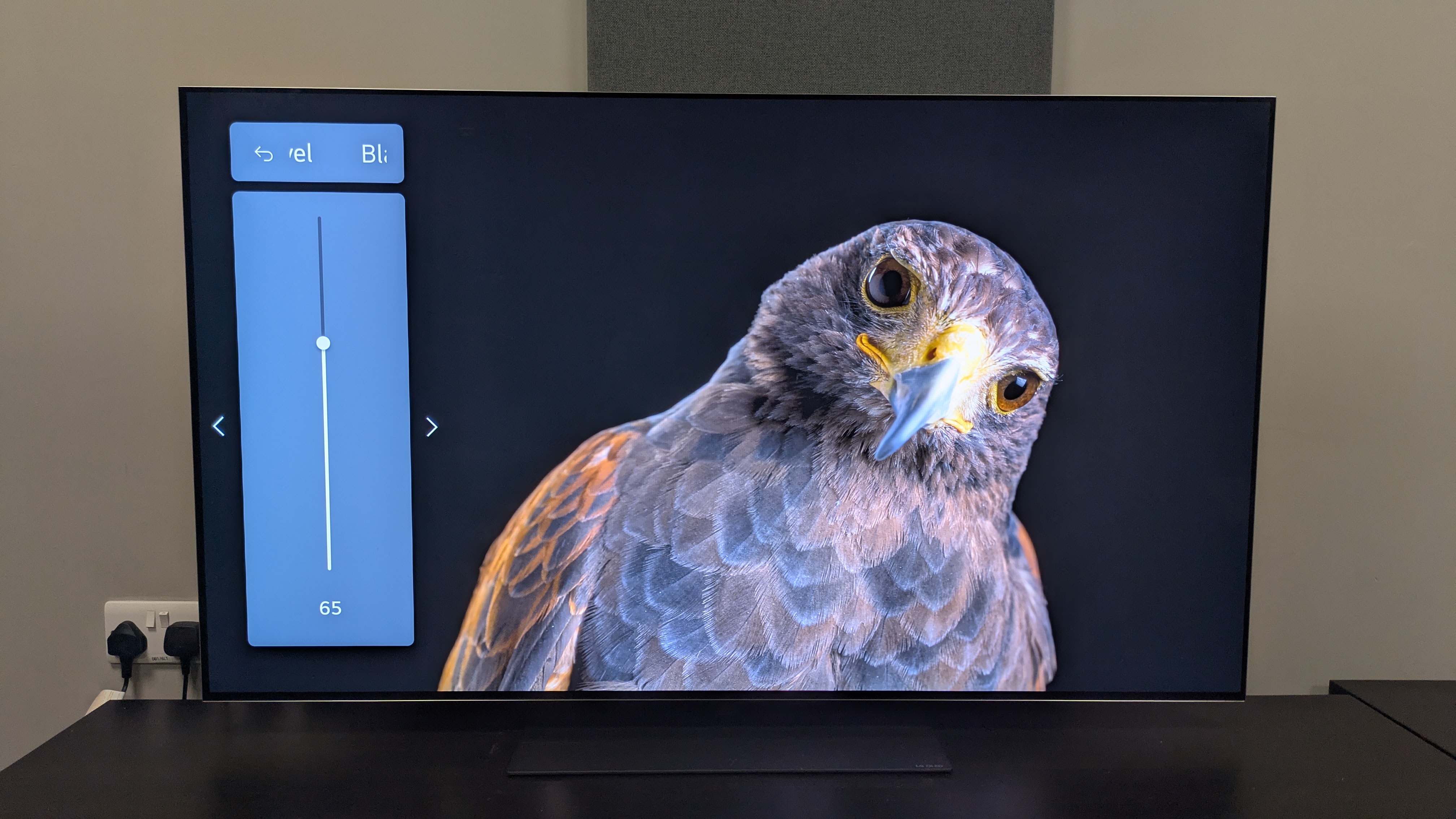 LG G5 with eagle on screen with black level menu set to 65