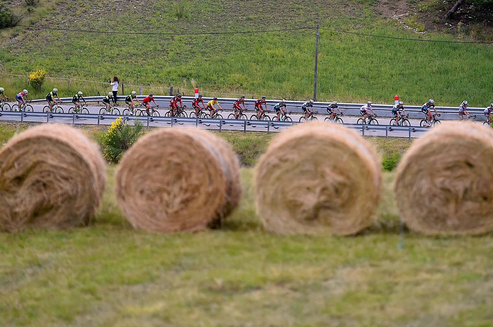 The peloton on stage 4 at Criterium du Dauphine